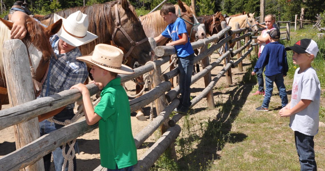 group of kids looking at horses